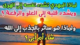 لماذا المهدي تشده نفسه إلى الهوى ويشده قلبه إلى العلو والرفعة ولماذا هو سائر بالجذب إلى الله اضطرارا