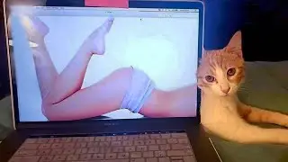 Pets that Make me Feel Happy Inside 😍1
