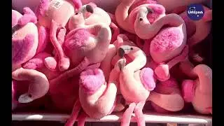 FLAMINK SE KIND Vinkel en koljander, die een is soos die ander ... Dis nou Walvisbaai en flaminke: