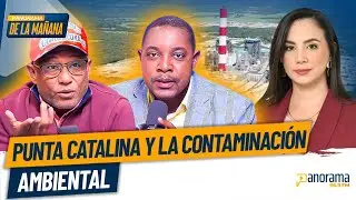 La contaminaci&oacute;n causada por Punta Catalina