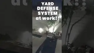 Possum Encounter: The Yard Defender Strikes #shorts