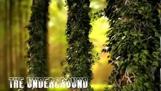 The Underground