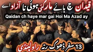 Noha Bibi Sakina S.A | 13 Safar Dhokk Ratta Rawalpindi | Qaidaan Ch Haye Mar Gai | Haider Brothers |