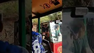 Driving Creek Railway Tours Coromandel New Zealand🇳🇿