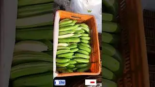 Export Quality Bananas Packing photos Videos #indian_all_fruit_packing