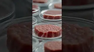 How Lab Grown Meat is Made?  Advanced Techniques Explained #labgrownmeat #foodinnovation
