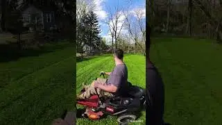 Toro timecutter #mowing #satisfying #lawn #funny