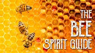 Bee Spirit Guide - Ask the Spirit Guides Oracle - Totem Animal, Power Animal - Magical Crafting