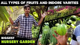 Biggest Nursery ||Best Varieties Of Fruit Plants Indoor& Out Door Plants Available Plants With Names