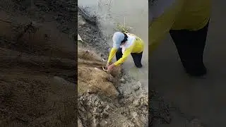 fishing adventure net fishing