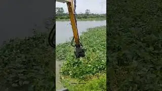 Excavator Arm Clearing Floating Aquatic Weed