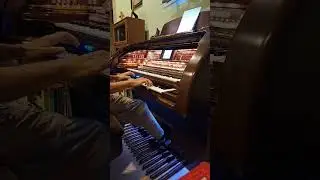 Brian McNamara at the Lowrey Don't Blame Me