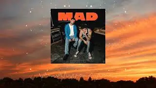 Martin Garrix & Lauv - MAD (Arlane Festival Edit)
