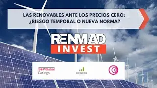 🟠 Las renovables ante los precios cero: &iquest;riesgo temporal o nueva norma? 🟠
