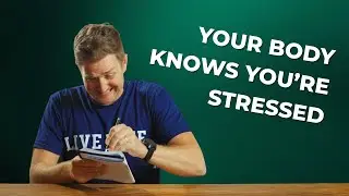How Stress Leaves Fingerprints on Your Body  Life Balance Chiropractic Nervous System Tips
