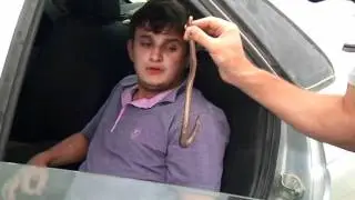 СТРАХ СУЛИКА