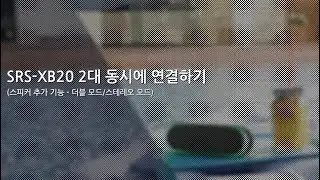 [강의] SRS-XB20 2대 동시에 연결하기