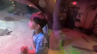 SEA LIFE Arizona Aquarium - Arizona Mills, Tempe - Complete Tour