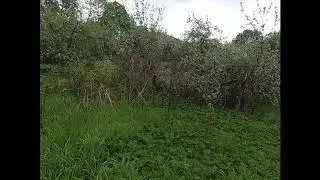 Троица