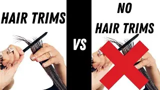 What Happens When you Don&rsquo;t Trim Your Hair - TheSalonGuy