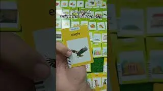 Best Educational Toy for Kids | Flash Card Learning Device Review in Bangla | Children's Learning...
