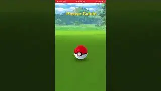 Catching Shiny Exeggcute: Pok&eacute;mon Go