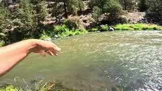 Fly fishing in Central Oregon