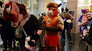 Brasil FurFest 2025: Fursuit Parade (POV da entrada do centro de convenções do hotel)