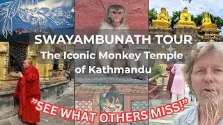 What You ACTUALLY Miss at Monkey Temple: It&rsquo;s Not the View, It&rsquo;s the Walk Up