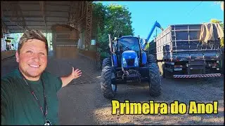 INICIAMOS A COLHEITA DE SOJA! PRIMEIRA VIAGEM COM O CAMINHÃO CARREGADO DO ANO!