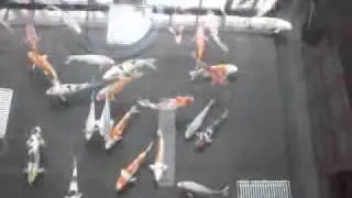 iwachita mix liekoi.wmv