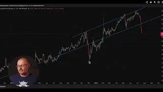 Crypto News  July 21st  NFT Market Doubles, DOGE and SOL Ready to Surge!