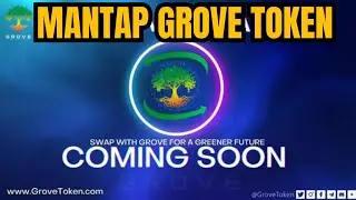 NOW THAT'S DONG GROVE TOKEN🚀🚀