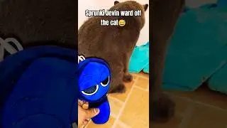 Sprunki Jevin ward off the Cat😅 #sprunki #sprunkiincredibox #cuteanimal #catlover #pets #short #fyp