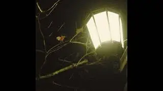Oppiside - 1AM FREESTYLE