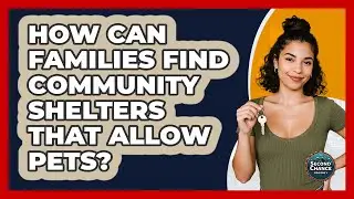How Can Families Find Community Shelters That Allow Pets? - Second Chance Journey