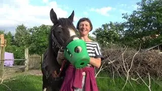 Weshalb unser Pferd einen grünen Eimer auf der Nase hat - als Fressbremse!