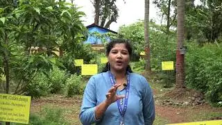 MEDICINAL GARDEN AN IMPORTANT COMPONENT OF AGRO ECO TOURISM UNIT OF ICAR CCARI GOA