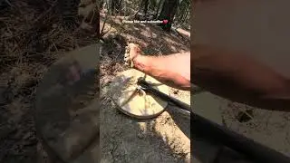 How to find gold nuggets and drop them on the coil with no scoop. please follow for more content. 🙏