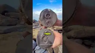 Finding a Rare Fossil 😲