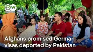 Why is Germany leaving approved former Afghan local staff waiting in the lurch? | DW News
