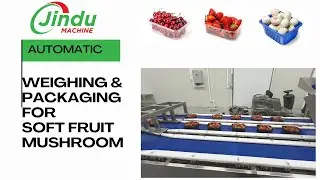 Can This STRAWBERRY WEIGHING MACHINE Change the Future of Fruit Packaging?