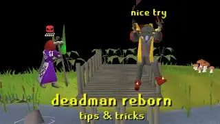 Deadman Reborn Tips & Tricks! ft. Torvesta