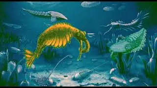 Anomalocaris and Peytoia