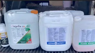 Aplica&ccedil;&atilde;o Herbicida Trueno Xts e Garlon Pra controle Plantas Daninhas