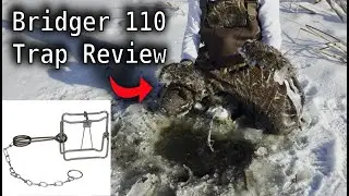Обзор захвата Bridger #110 Conibear Trap / Bodygrip