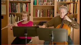 Amaryllis Duo with music and conversation
