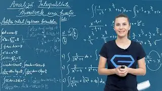 Integrabilitate. Exerciții formule integrale nedefinite și artificii de calcul &ndash; Clasa a XII-a