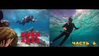 И снова Куба.Часть 6.Дайвинг на Карибском море.