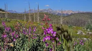 San Juan Range Camp & Scenic Return 08-08 to 08-09-23